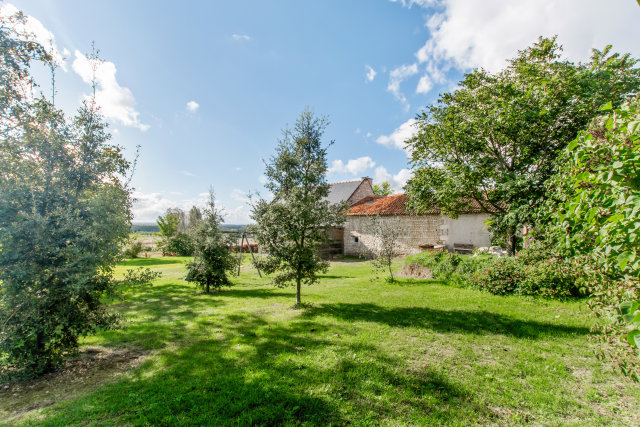Calme, Tranquillité, et Nature -au gites de groupe le guimape Indre et Loire.